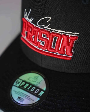 Pinstripe dad hat