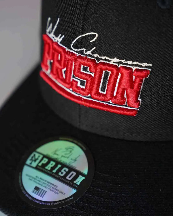 Pinstripe dad hat