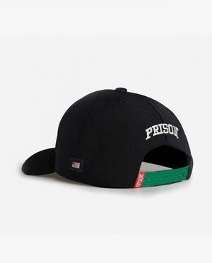 Pinstripe dad hat