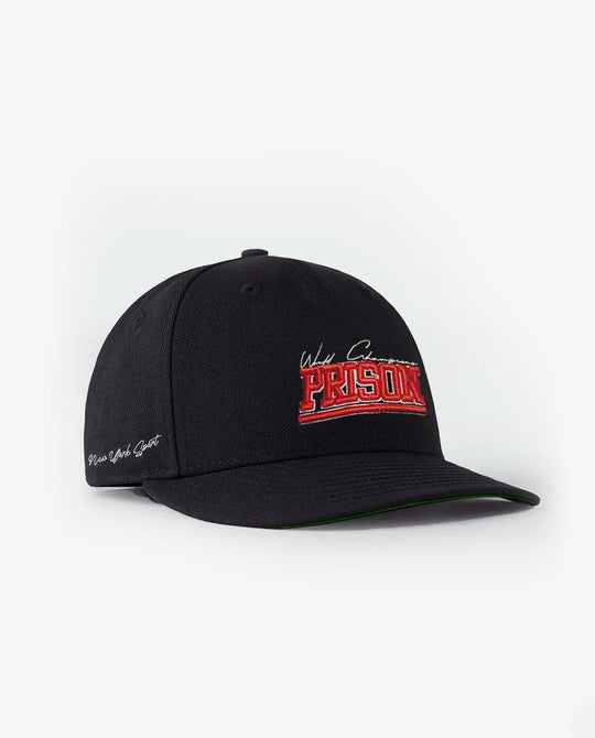 Pinstripe dad hat