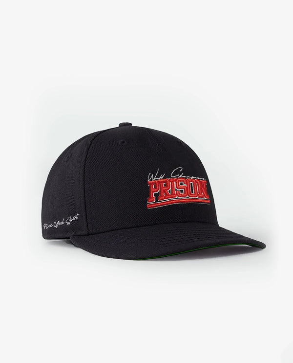 Pinstripe dad hat