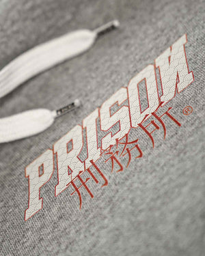 Blusa Moletom Dragon Spirit Cinza