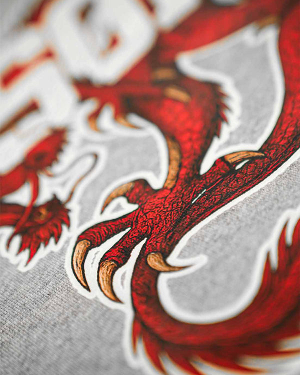 Blusa Moletom Dragon Spirit Cinza