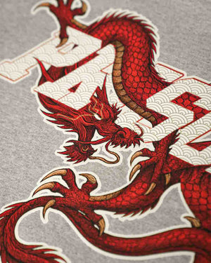 Blusa Moletom Dragon Spirit Cinza