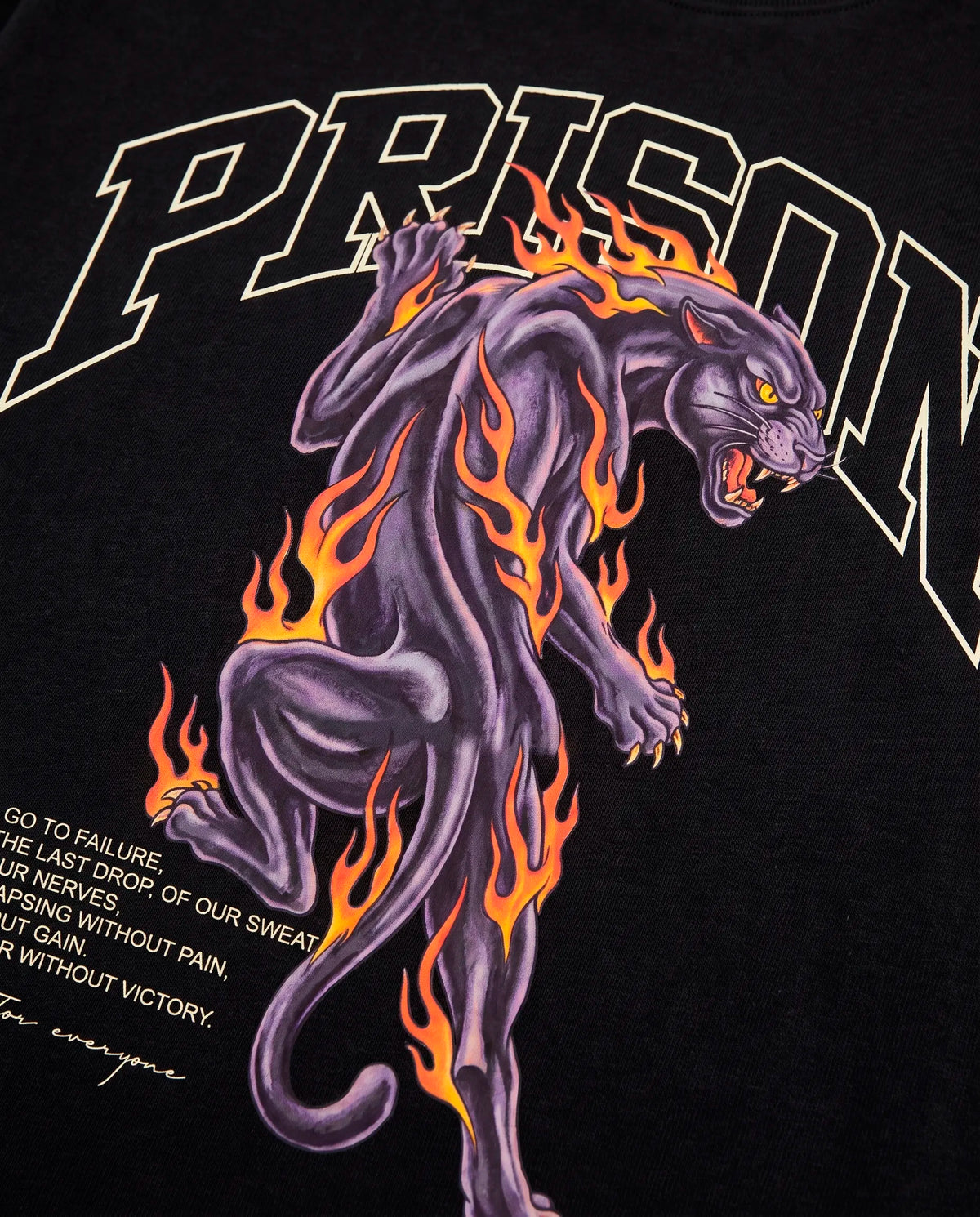 Detalhe da pantera em chamas roxa e laranja na camiseta oversized Prison preta.
