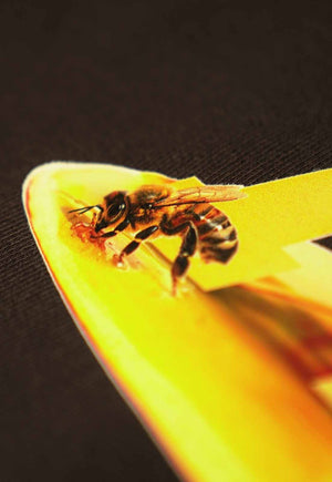 Blusa Moletom Streetwear Honey Marrom